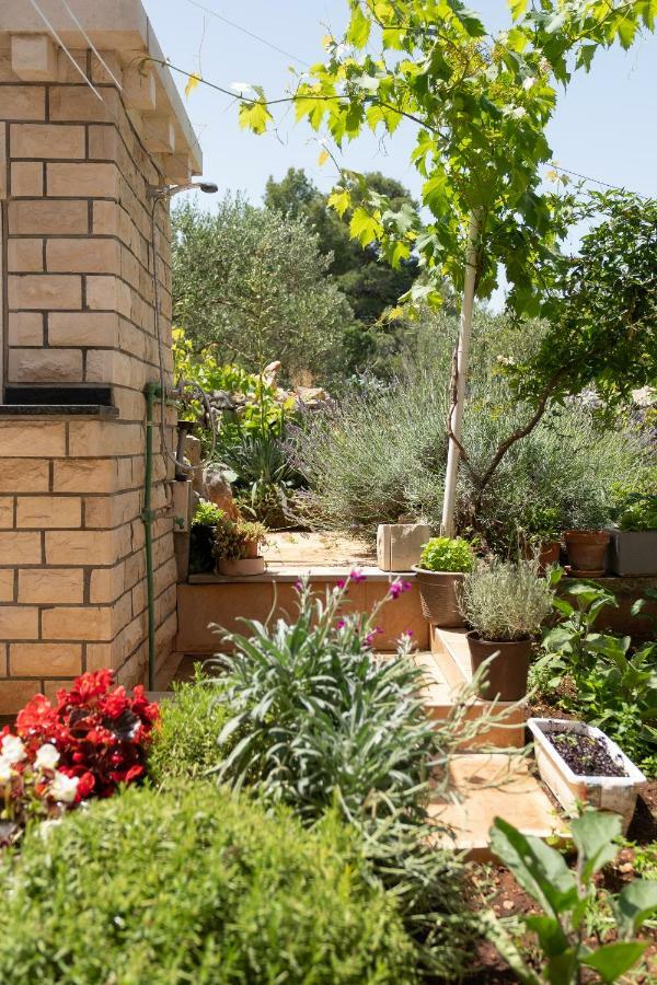 Apartmani "Zuka" Korčula Esterno foto